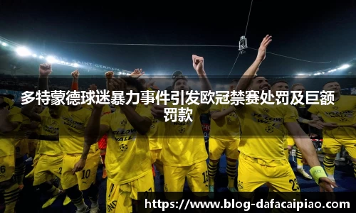 多特蒙德球迷暴力事件引发欧冠禁赛处罚及巨额罚款